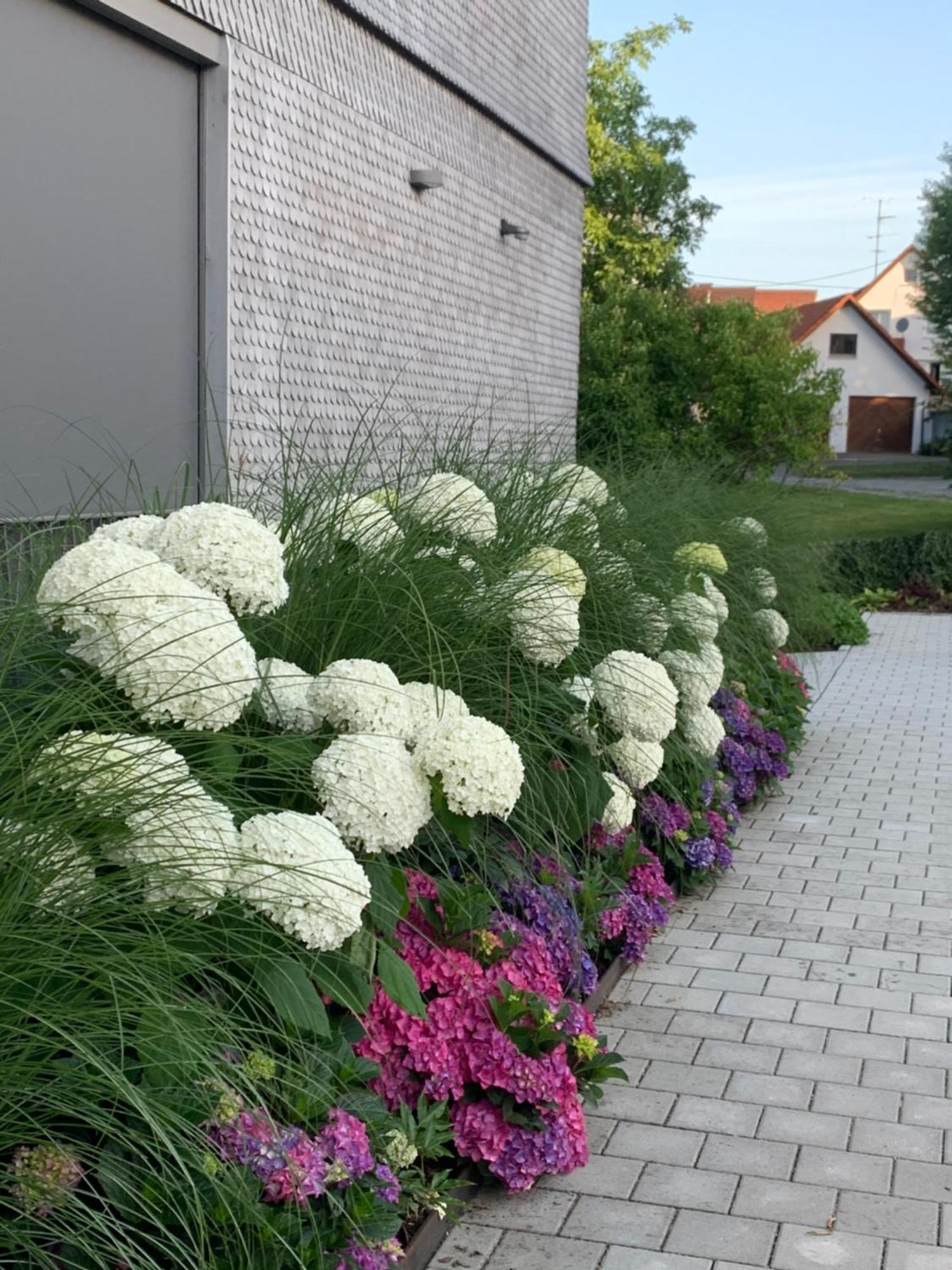 Ferienwohnung Trilogie Am See - Maulbeere Stetten  Bagian luar foto